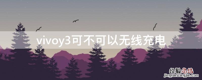 vivoy3可不可以无线充电 vivoy3s可以无线充电吗