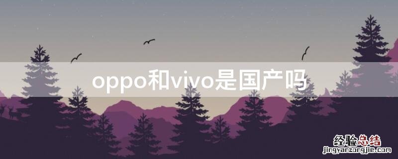 vivo和oppo是国产的吗? oppo和vivo是国产吗