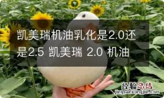 凯美瑞机油乳化是2.0还是2.5 凯美瑞 2.0 机油