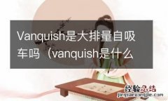 vanquish是什么车 Vanquish是大排量自吸车吗