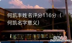 何凯名字意义 何凯丰姓名评分116分