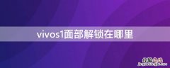 vivos1面部解锁在哪里