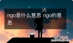 ngo是什么意思 ngo的意思