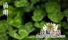 清明节说什么好 清明节说什么好吃