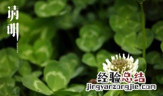 清明节说快乐合适吗 清明节该说快乐吗