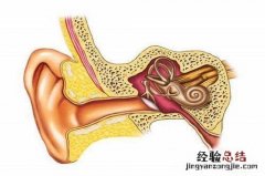 两个多月宝宝中耳炎症状 宝宝中耳炎症状