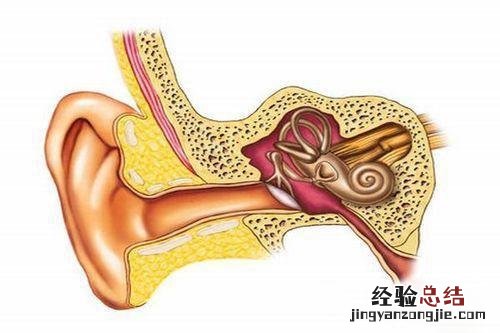 两个多月宝宝中耳炎症状 宝宝中耳炎症状