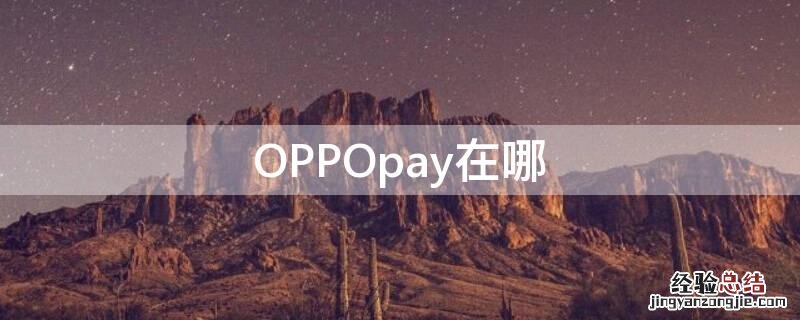支持oppopay的手机 OPPOpay在哪