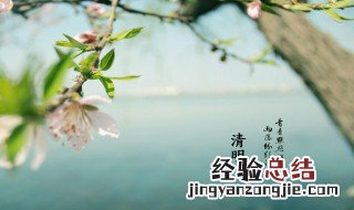 清明节说的是农历还是新历 清明节说的是农历还是新历生日