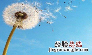 自由的句子心情说说 自由的句子心情说说列述