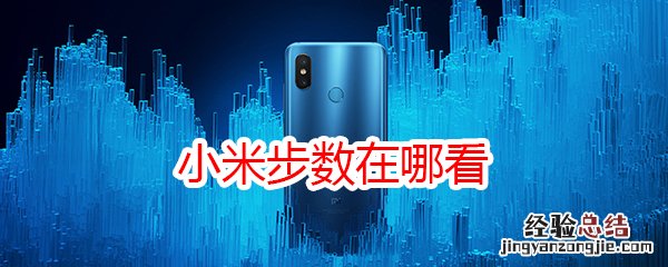 小米步数在哪看