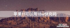 iphone 11支持18w快充么 iPhone11可以用18w快充吗