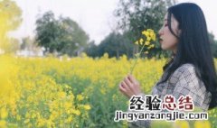 关于油菜花的个性说说 怎么写出油菜花的美