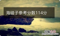 海碰子参考分数114分