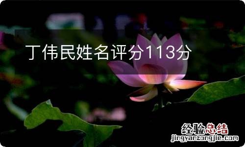 丁伟民姓名评分113分