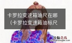 卡罗拉变速箱油标尺在哪里 卡罗拉变速箱油尺在哪