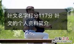 叶文名字打分117分 叶文的个人资料简介