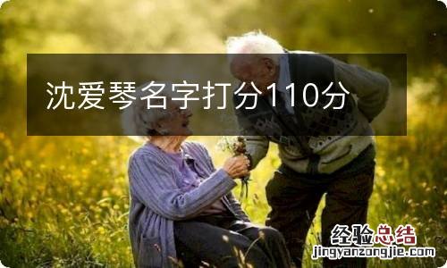 沈爱琴名字打分110分