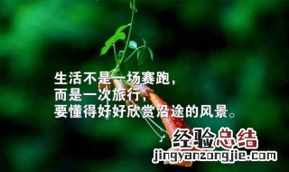 人生感悟正能量 有什么能表达出人生的真谛的句子