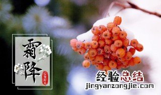 霜降有什么吉祥寓意 霜降预示着什么