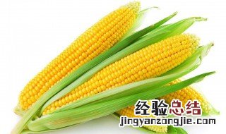 生玉米保鲜储存方法 新鲜的玉米要怎么保存