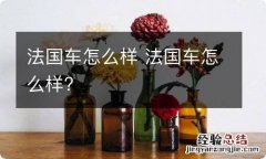 法国车怎么样 法国车怎么样?