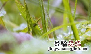 下雨了发朋友圈的说说 雨是有灵气的