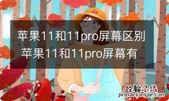 苹果11和11pro屏幕区别 苹果11和11pro屏幕有什么区别