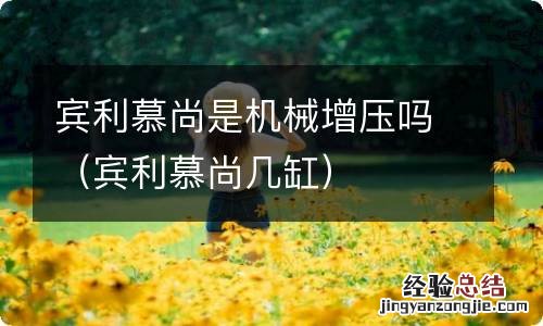 宾利慕尚几缸 宾利慕尚是机械增压吗