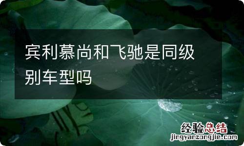 宾利慕尚和飞驰是同级别车型吗