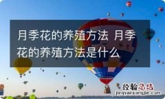 月季花的养殖方法 月季花的养殖方法是什么