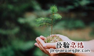 植树造林有什么好处 植树造林有什么好处(一句话