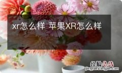 xr怎么样 苹果XR怎么样