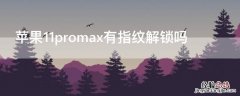 iPhone11promax有指纹解锁吗 iphone11promax有没有指纹解锁