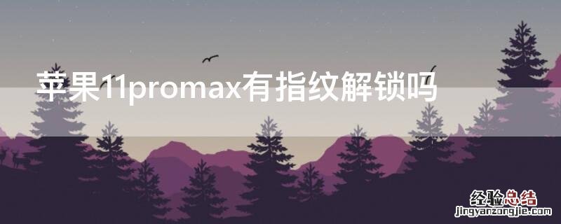 iPhone11promax有指纹解锁吗 iphone11promax有没有指纹解锁