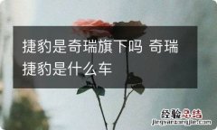 捷豹是奇瑞旗下吗 奇瑞捷豹是什么车