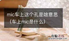 车上mic是什么 mic车上这个孔是啥意思