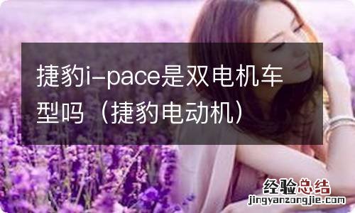 捷豹电动机 捷豹i-pace是双电机车型吗