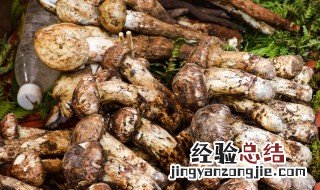 松茸保鲜方法还是冷冻 这两种方法最很好用