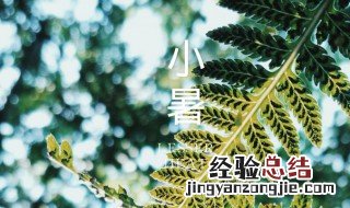 小暑时节怎么消暑 小暑时节消暑的方法