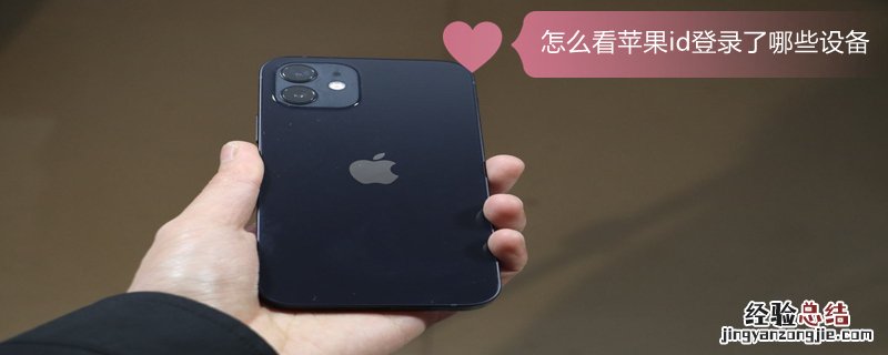 怎么看iPhoneid登录了哪些设备