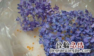 怎样用干燥剂做永生花 用干燥剂制作干花永生花的步骤