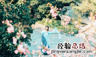 高雅有意境的三个字的词语 高雅有意境的三个字