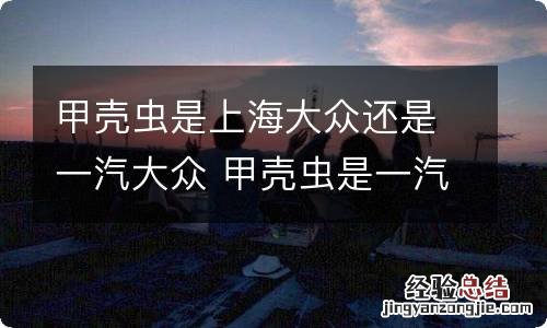 甲壳虫是上海大众还是一汽大众 甲壳虫是一汽大众吗