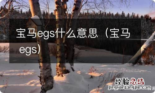 宝马 egs 宝马egs什么意思