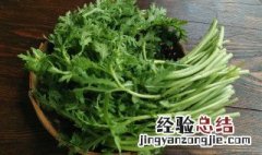 大暑天怎么种青菜 大暑天如何种青菜