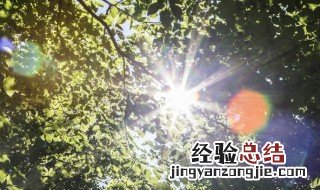 年初伏天怎么算 年初伏天的算法