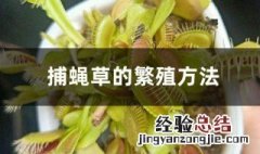 捕蚊草繁殖方法 捕蚊草是靠种子繁殖的吗