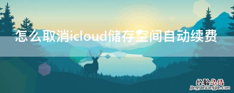 怎么取消icloud储存空间自动续费 如何取消icloud储存空间自动续费