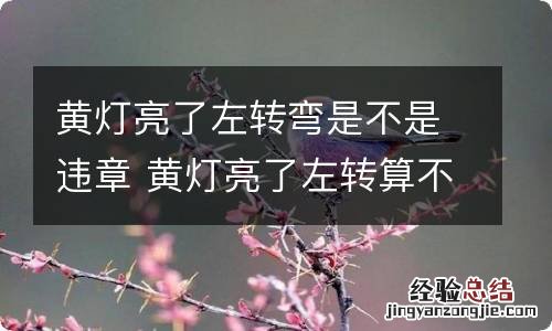 黄灯亮了左转弯是不是违章 黄灯亮了左转算不算违章